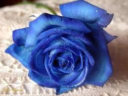 images images