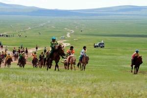 388247051de8e0e7c76851