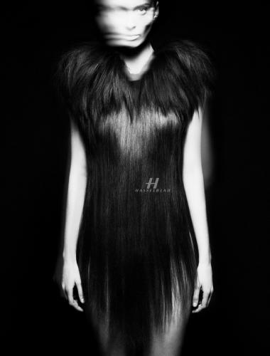Hasselblad_masters_14