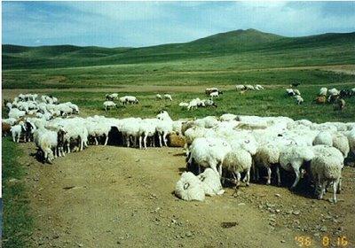 1mrue95jro2fmd2di7iqh7d3oj