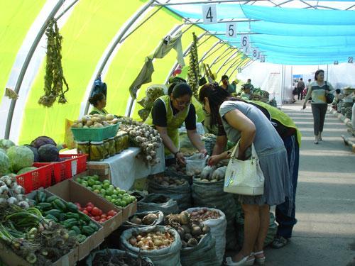 шинэ ноггны