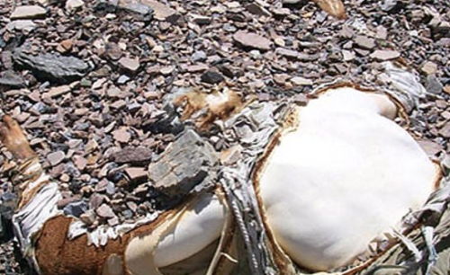 Snapshot_2013-09-02_105842