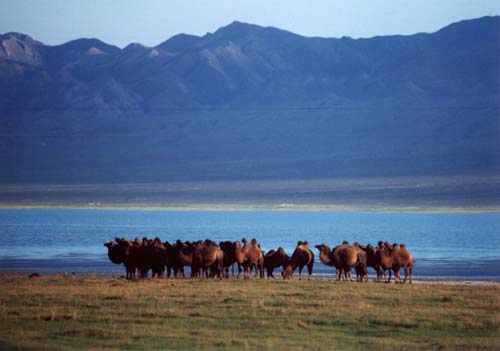 баянхонгор аймаг