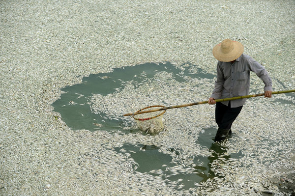 05china-articleLarge