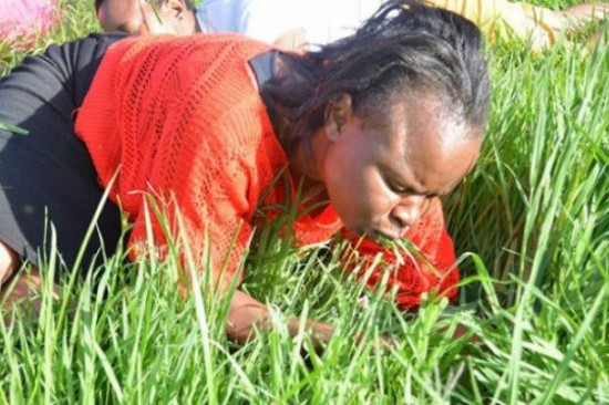 eating-grass-550x366