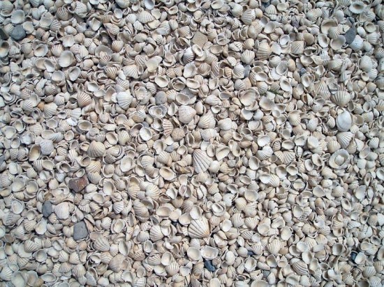 Fadiouth4-550x412