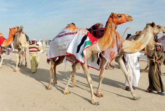 camel-beauty-pageant-550x372