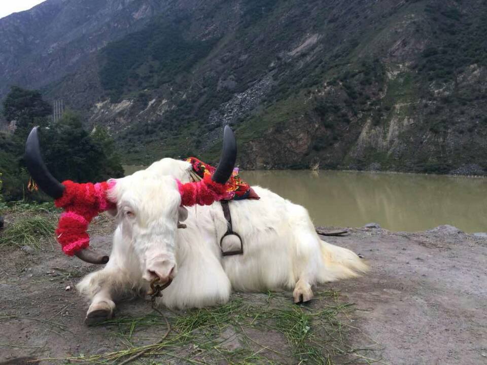 10581567_728330417259743_1348125352_n