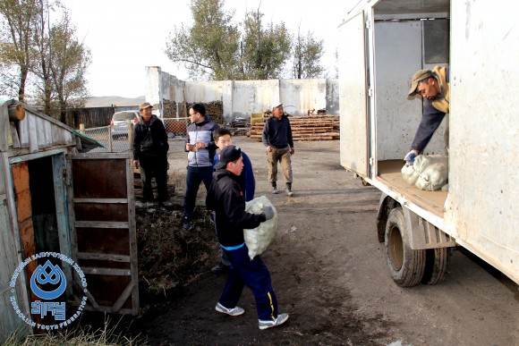 ef5081e5153a8a13043bfd6f833e0da3