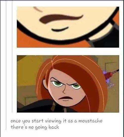 funniest-pictures-2013-kim-mustache