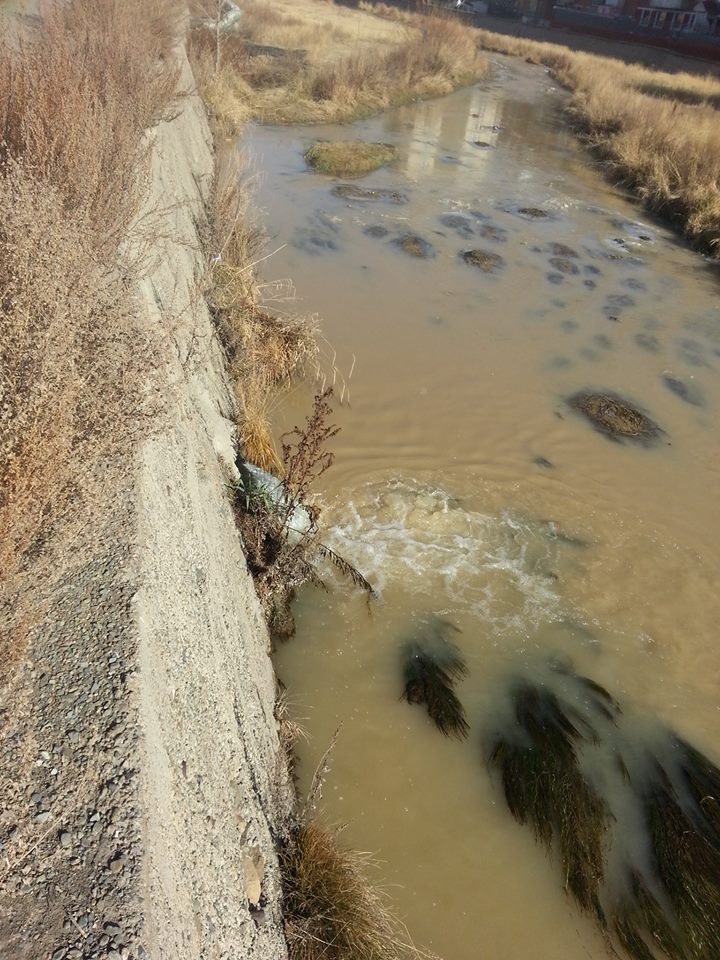 10729061_10204101646119122_1678189950_n