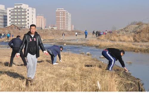 1800054_952992971396733_5784877335890967057_o