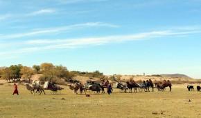 ec2e2d92c5ed3704d34c9fce8efa4c87f2151190