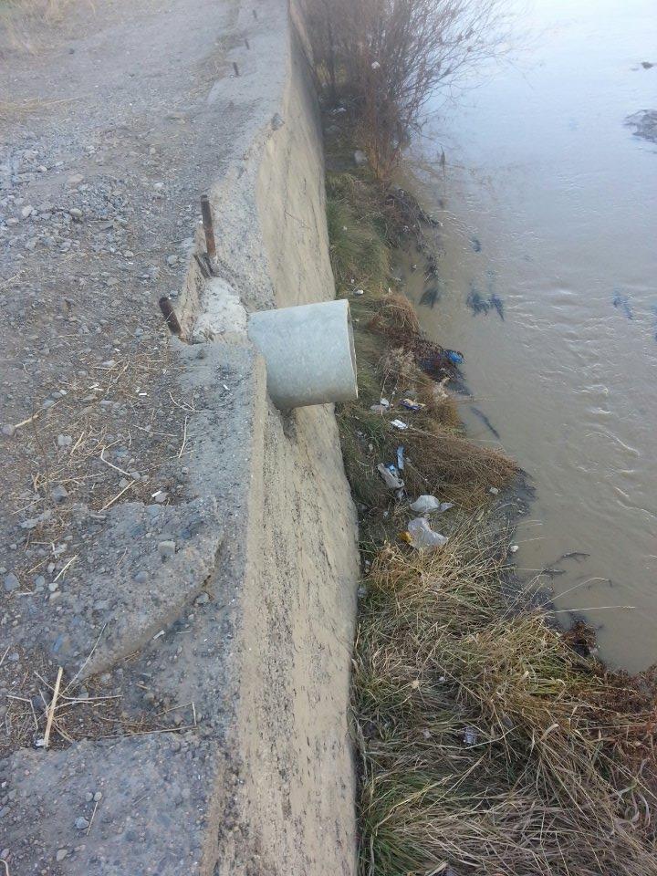 10729061_10204101646119122_1678189950_n