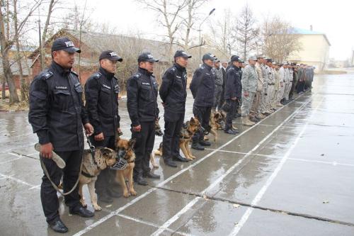 1780613_315977655275480_3062200633966447671_n