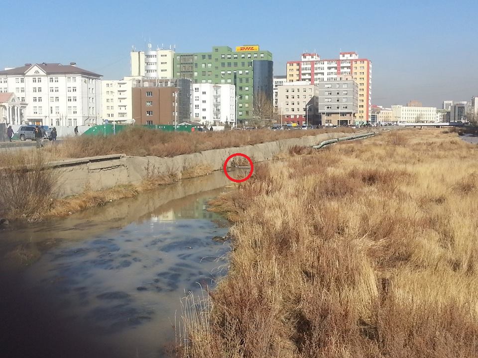 10729061_10204101646119122_1678189950_n