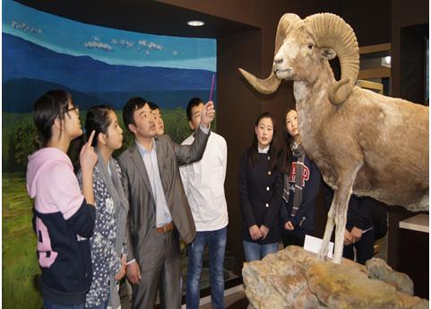 Snapshot_2014-10-23_100816