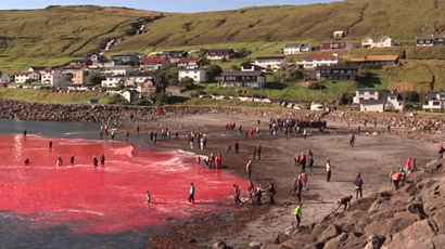 red_waters_pic_5_copy.n