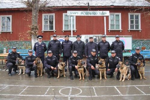 1780613_315977655275480_3062200633966447671_n