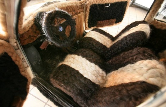 car-covered-in-hair3-550x356