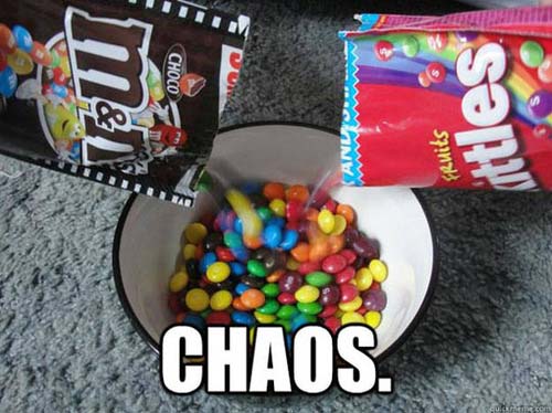 funniest-pictures-2013-chaos