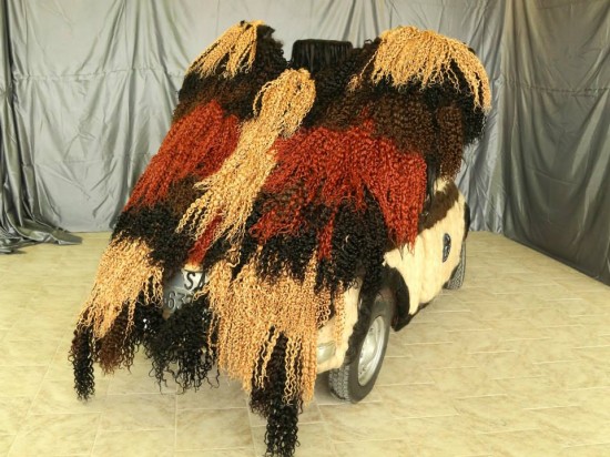 car-covered-in-hair2-550x412