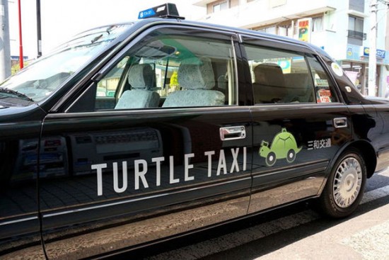 turtle-taxi-550x367
