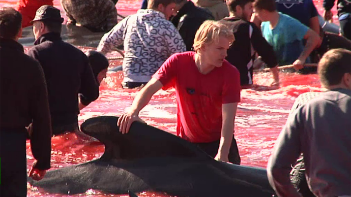 red_waters_pic_4-3_copy