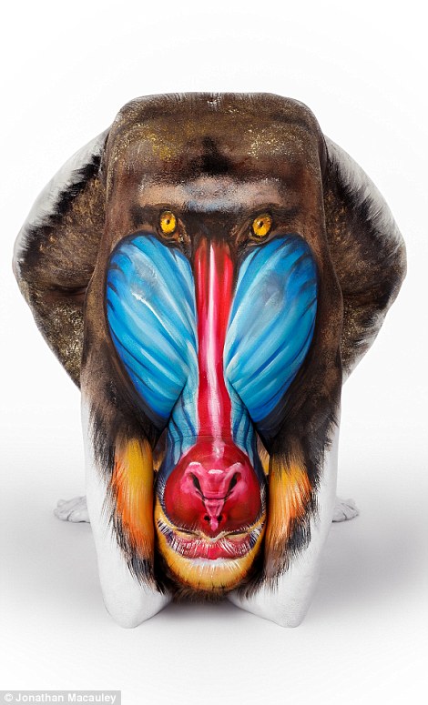 1415696905794_wps_48_Amazing_Animal_Body_Art_W