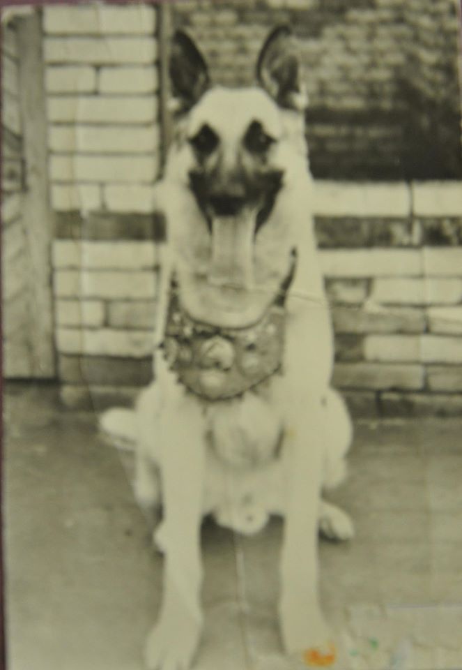 10484565_333495796856999_7026893759605816778_o