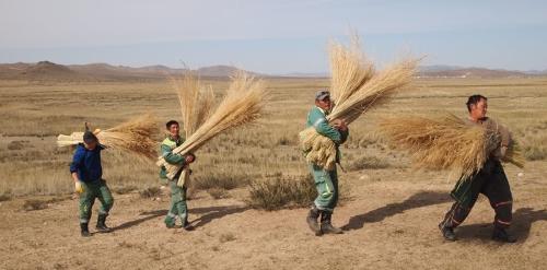 p195ved8irt15bq4lkvum41bpn1