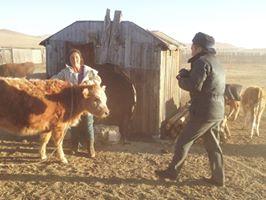 10403103_331591340380778_7414823574754291460_n