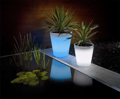 Modern and Creative Plant Pot Designs 9