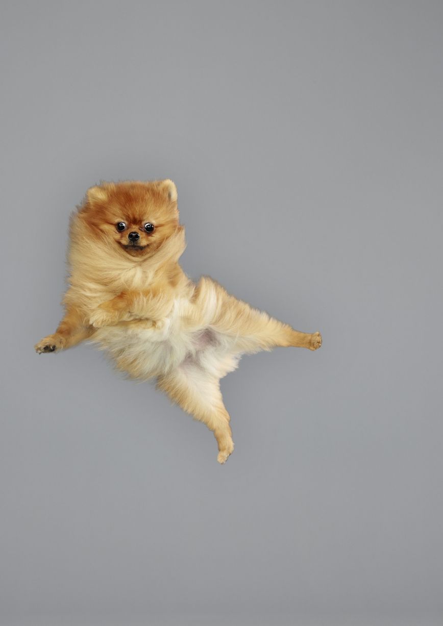 Jumping-