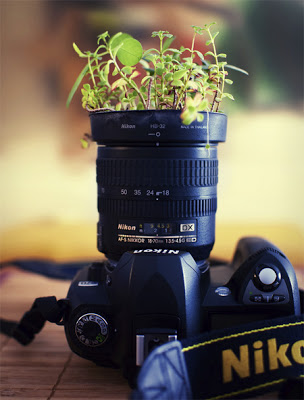 Modern and Creative Plant Pot Designs 15