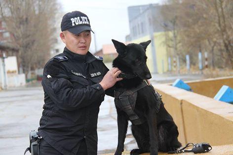 1797450_331916483681597_7708418125979251227_n