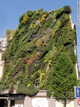 140919161724-garden-oasis-vertical-gallery