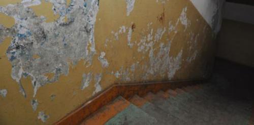 p195utbke91i481bij1ast1225v481