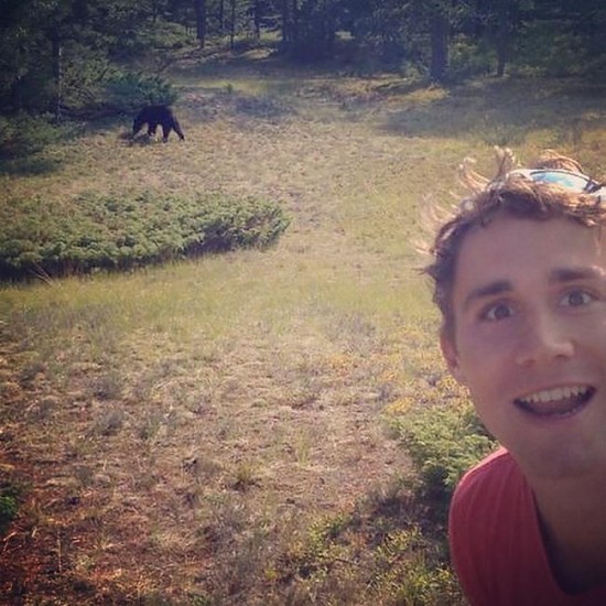 bear-selfies6-550x550