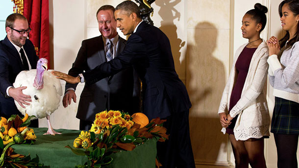 5bgmggt41hmu8615ktpvnpfnrl