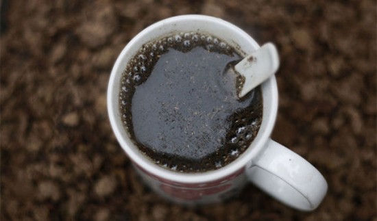 miracle-cure-550x323