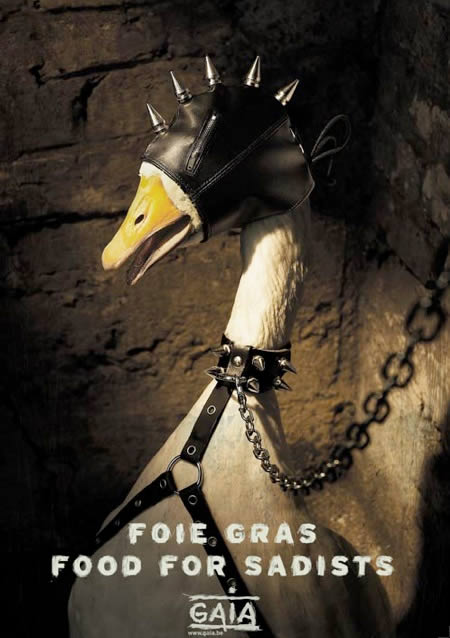 Banned-Controversial-ads-28