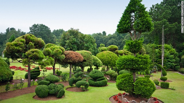 141020125618-pearl-fryer-garden-bishopville-horizontal-gallery