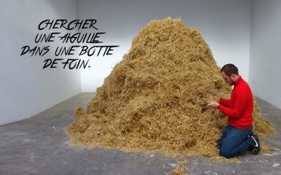 needle-in-the-haystack2-550x343