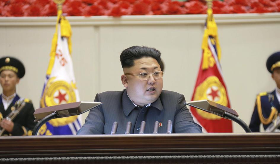 2014-11-13t044905z1lynxnpeaac04lrtroptp4northkorea-politics