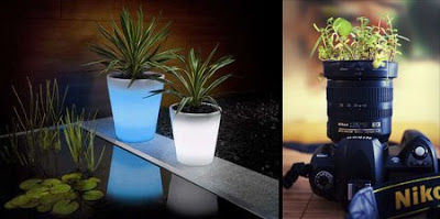 Modern and Creative Plant Pot Designs 1