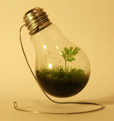 Modern and Creative Plant Pot Designs 7