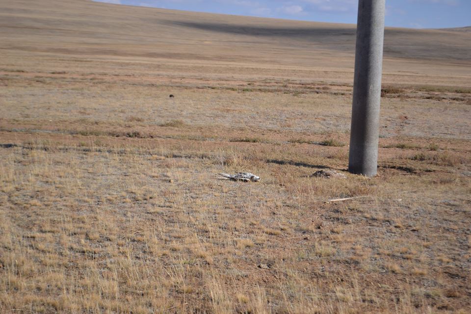 1454609_741962492546919_1685999202818541237_n