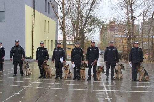 1797450_331916483681597_7708418125979251227_n