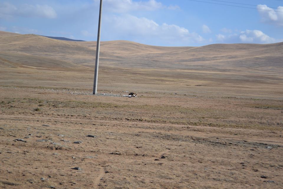 1454609_741962492546919_1685999202818541237_n